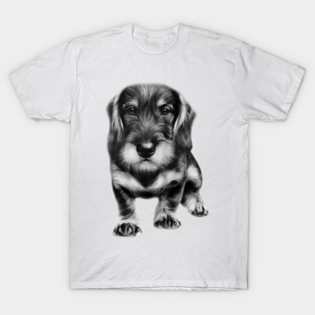 Dachshund painting T-Shirt by animalpaintings